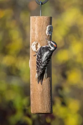 Attractor Woodpecker Filled Suet Plug Feeder